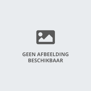 Kettingtakel 1.000 kg 15 m 230 V Kettingtakel 1.000 kg 15 m 230 V